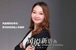 (2分钟教程)沈阳咨询公司有哪些_哔哩哔哩-2